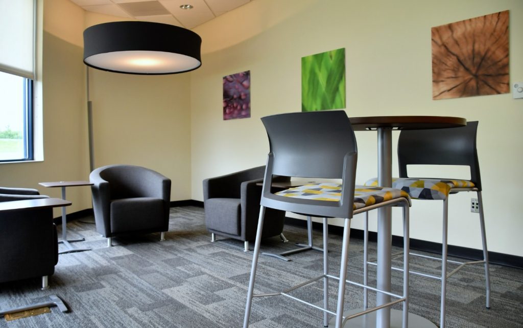 Magic Hands Cleaning - cleaning services